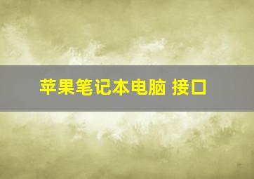 苹果笔记本电脑 接口